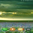 Download live wallpaper Spring rain by Locos apps for free and Dandelion for Android phones and tablets .