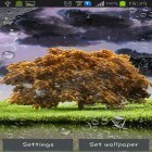 Download live wallpaper Spring storm for free and Dandelions for Android phones and tablets .