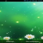 Download live wallpaper Summer Flowers by Dynamic Live Wallpapers for free and Rain drop by iim mobile for Android phones and tablets .