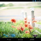 Download live wallpaper Summer flowers by Mww apps for free and Fireflies droplets HD for Android phones and tablets .