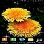 Download live wallpaper Summer flowers by Stechsolutions for free and Neon microcosm for Android phones and tablets .