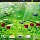 Download live wallpaper Summer garden for free and Moomlight for Android phones and tablets .
