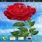 Download live wallpaper Summer rain: Flowers for free and Traces for Android phones and tablets .