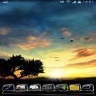 Download live wallpaper Sunset Hill for free and Puppy by Art LWP for Android phones and tablets .