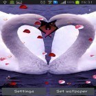 Download live wallpaper Swans: Love for free and Green Cooler for Android phones and tablets .