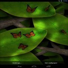 Download live wallpaper Tap leaves for free and Neon flowers by Phoenix Live Wallpapers for Android phones and tablets .