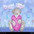 Download live wallpaper Teddy bear for free and Magic clock for Android phones and tablets .