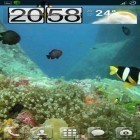 Download live wallpaper The blue lagoon for free and Love by Simprosys for Android phones and tablets .