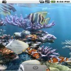 Download live wallpaper The real aquarium for free and Purple flower for Android phones and tablets .