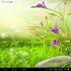 Download live wallpaper The sparkling flowers for free and Wild berries for Android phones and tablets .