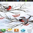 Download live wallpaper Winter: Bullfinch for free and Magical forest by HD Wallpaper themes for Android phones and tablets .