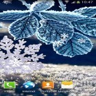Download live wallpaper Winter by Amax lwps for free and Shake It Up: Seasons 3D for Android phones and tablets .