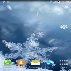 Download live wallpaper Winter by Blackbird wallpapers for free and Farm tractor 3D for Android phones and tablets .