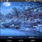 Download live wallpaper Winter by My live wallpaper for free and Christmas Santa HD for Android phones and tablets .