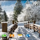 Download live wallpaper Winter landscapes for free and Blue flame for Android phones and tablets .