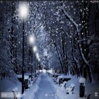 Download live wallpaper Winter snow for free and Polar bear love for Android phones and tablets .
