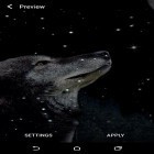 Download live wallpaper Wolf and Moon for free and Aurora for Android phones and tablets .