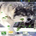 Besides Wolves mistery live wallpapers for Android, download other free live wallpapers for Fly Nimbus 3 FS501.