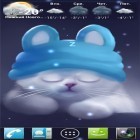Download live wallpaper Yang the cat for free and Daisies by Live wallpapers for Android phones and tablets .