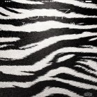 Download live wallpaper Zebra for free and Neon microcosm for Android phones and tablets .