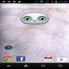 Download live wallpaper Zoo: Cat for free and Diamond for Android phones and tablets .
