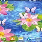 Download live wallpaper Butterflies by Amax LWPS for free and Sea by Live Wallpaper Free for Android phones and tablets .