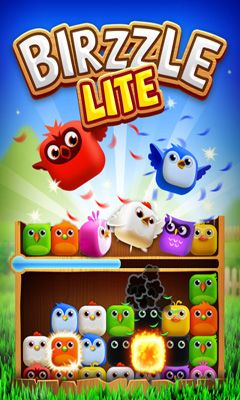 Full version of Android Arcade game apk Birzzle for tablet and phone.