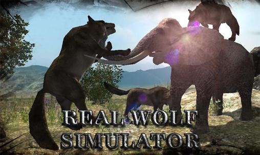 Full version of Android 4.3 apk Real wolf simulator for tablet and phone.