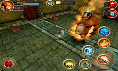 Full version of Android apk app Samurai Tiger for tablet and phone.
