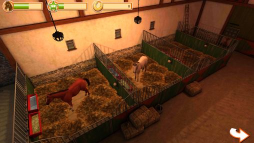 Gameplay of the Horse world 3D: My riding horse for Android phone or tablet.