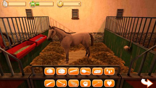 Horse world 3D: My riding horse