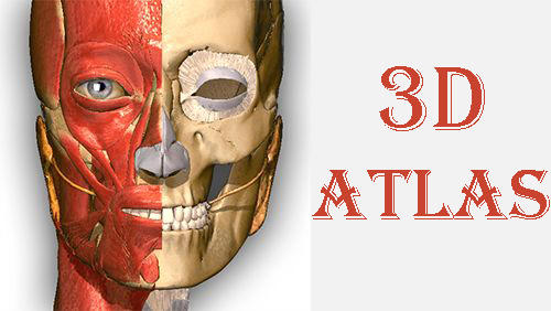 Download Anatomy learning - 3D atlas - free Teaching Android app for phones and tablets.