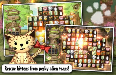 Gameplay screenshots of the Kitten Sanctuary for iPad, iPhone or iPod.