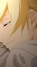 New mobile wallpapers - free download. Anime, Men, Fullmetal Alchemist picture and image for mobile phones.