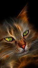 New mobile wallpapers - free download. Animals, Cats, Art picture and image for mobile phones.
