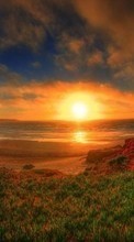 New mobile wallpapers - free download. Landscape, Sunset, Grass, Sky, Art, Sun picture and image for mobile phones.