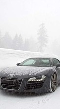 New 1024x768 mobile wallpapers Audi, Auto, Transport free download.