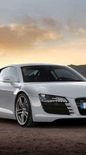 New mobile wallpapers - free download. Audi,Auto,Transport picture and image for mobile phones.
