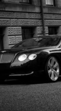 New 480x800 mobile wallpapers Transport, Auto, Bentley free download.