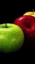 New mobile wallpapers - free download. Apples, Food, Fruits picture and image for mobile phones.