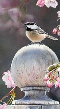 New mobile wallpapers - free download. Animals, Flowers, Birds picture and image for mobile phones.