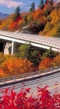 New 1080x1920 mobile wallpapers Landscape, Bridges, Trees, Roads, Autumn free download.