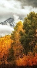 New mobile wallpapers - free download. Trees, Mountains, Clouds, Autumn, Landscape picture and image for mobile phones.