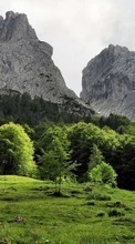 New mobile wallpapers - free download. Trees, Mountains, Landscape picture and image for mobile phones.