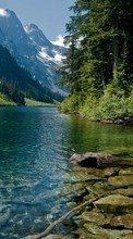 New mobile wallpapers - free download. Trees, Mountains, Landscape, Rivers picture and image for mobile phones.