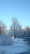New mobile wallpapers - free download. Landscape, Winter, Rivers, Trees, Snow picture and image for mobile phones.