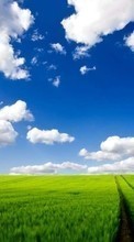 New mobile wallpapers - free download. Landscape, Grass, Sky, Roads picture and image for mobile phones.