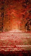 New 128x160 mobile wallpapers Landscape, Roads, Autumn free download.