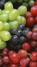 New 1024x600 mobile wallpapers Fruits, Food, Backgrounds, Grapes free download.
