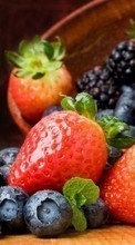 New mobile wallpapers - free download. Food, Fruits, Strawberry, Blackberry picture and image for mobile phones.